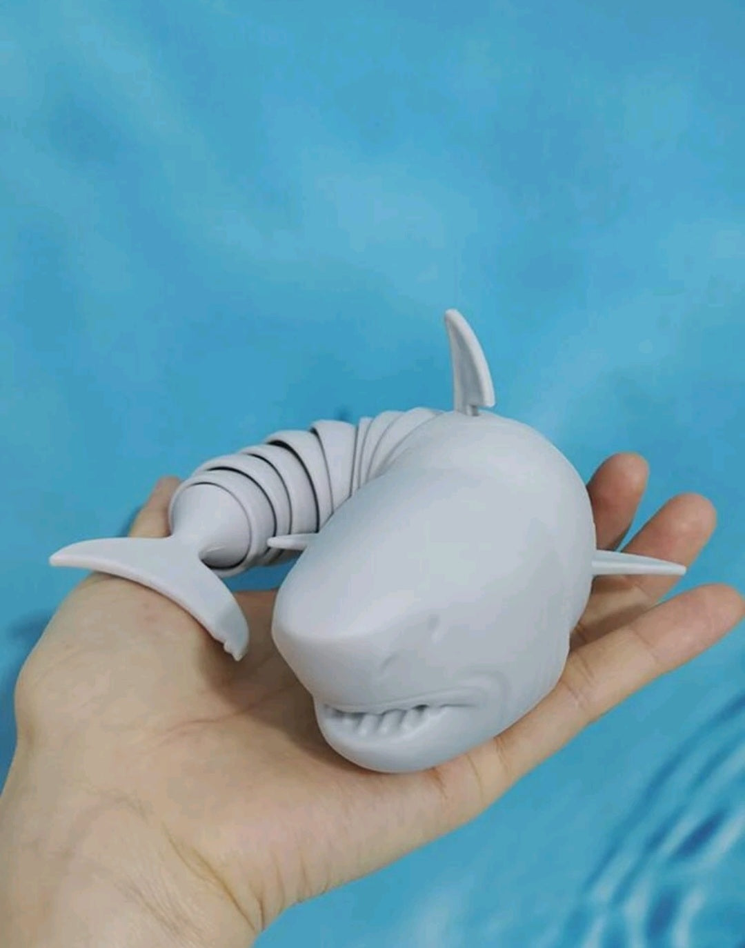 Shark fidget toy